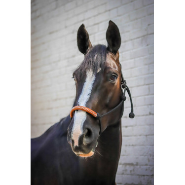 Ethologisch halster Pénélope Amerikaans Zwart Ethologisch halster Pénélope Amerikaans Zwart