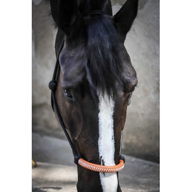Ethologisch halster Pénélope Amerikaans Zwart Ethologisch halster Pénélope Amerikaans Zwart