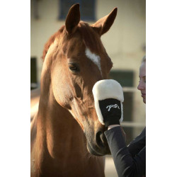 Poetsenhandschoen Pénélope Zwart