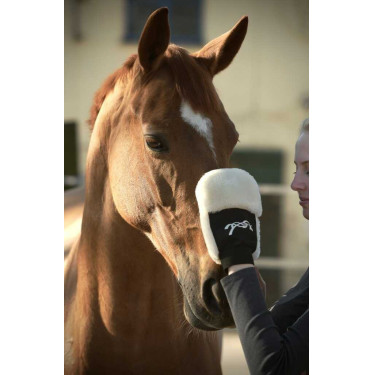 Poetsenhandschoen Pénélope Zwart