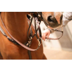 Pénélope Howlett hulpteugel