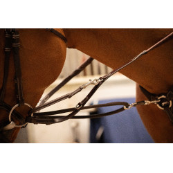 Pénélope Howlett hulpteugel