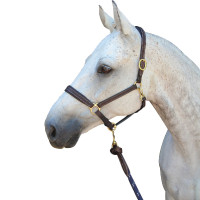 Halster Privilege Equitation La Baule Bruin