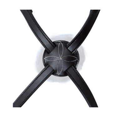 Kruisneusriem Royan Privilege Equitation Bruin