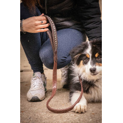 Laat hond Penelope Rubber Havana Bruin