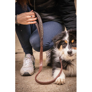 Laat hond Penelope Rubber Havana Bruin