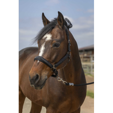 Halster Equithème Nylon Strass Zwart Halster Equithème Nylon Strass Zwart