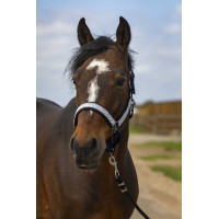 Halster Equithème Nylon Check Marine / zwart Blauw Halster Equithème Nylon Check Marine / zwart Blauw