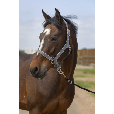 Halster Equithème Nylon light Grijs