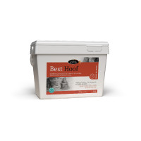Best Hoof Biotine Horse Master
