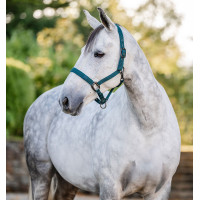 Halster en longeerlijn Horseware Groen dynastie