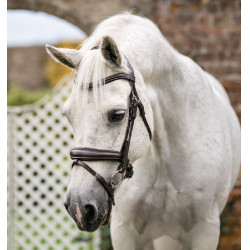 Paardenhoofdstel pony Horseware Flash Bruin Paardenhoofdstel pony Horseware Flash Bruin