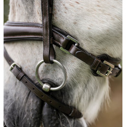 Paardenhoofdstel pony Horseware Flash Bruin Paardenhoofdstel pony Horseware Flash Bruin