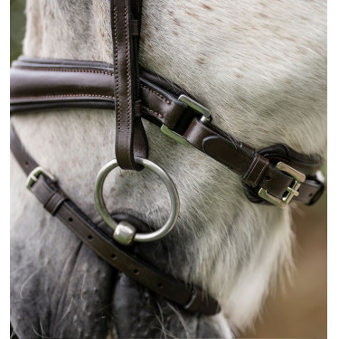 Paardenhoofdstel pony Horseware Flash Bruin Paardenhoofdstel pony Horseware Flash Bruin