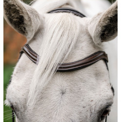 Paardenhoofdstel pony Horseware Flash Bruin Paardenhoofdstel pony Horseware Flash Bruin