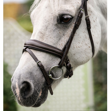 Paardenhoofdstel pony Horseware Flash Bruin