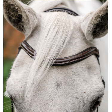 Paardenhoofdstel pony Horseware Flash Bruin