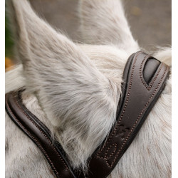 Paardenhoofdstel pony Horseware Flash Bruin
