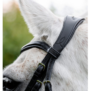 Ponyhoofdstel Horseware Cavesson Zwart