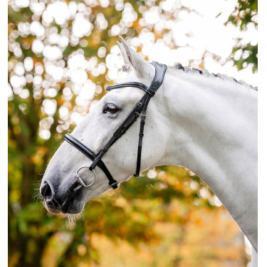 Hoofdstel Horseware Cavesson Zwart