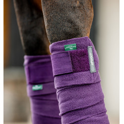 Horseware Amigo poloschoenen Winterberry Violet