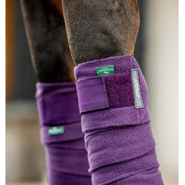 Horseware Amigo poloschoenen Winterberry Violet