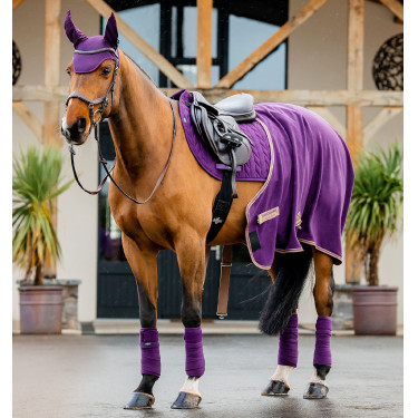 Horseware Amigo poloschoenen Winterberry Violet