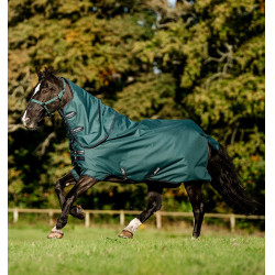 Horseware Amigo Ripstop 900D Plus Poney Turnout 50g deken Groen dynastie / marine / zilver