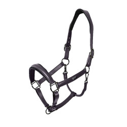 Equestrian Stockholm anatomisch glinsterend lederen halster Donkerpaars Violet