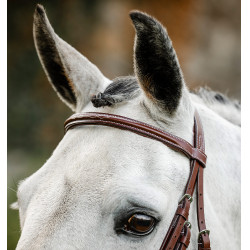 Hoofdstel Horseware Cavesson Hunter met teugels Bruin Hoofdstel Horseware Cavesson Hunter met teugels Bruin