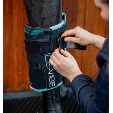Horseware Ice-Vibe kniebeschermers Zwart / aqua Horseware Ice-Vibe kniebeschermers Zwart / aqua