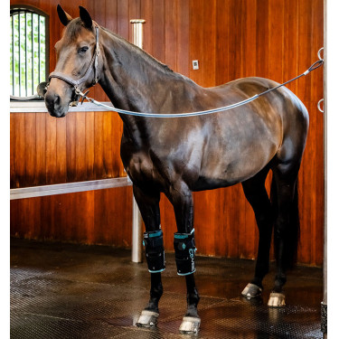 Horseware Ice-Vibe kniebeschermers Zwart / aqua Horseware Ice-Vibe kniebeschermers Zwart / aqua