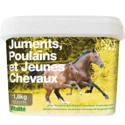 Merries, veulens en jonge paarden NAF