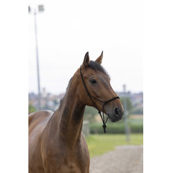 Touwhalster first Zwart