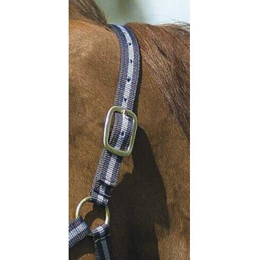 Nylon halster met lederen voering Norton Marine / hemelblauw