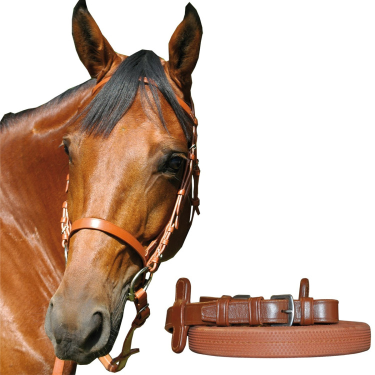 Chetak racehoofdstel