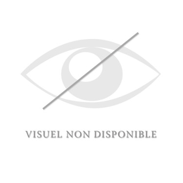 Hoofdstel HEADSET Eric Le Tixerant Hoofdstel HEADSET Eric Le Tixerant