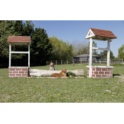 Leren halsband Diego & Louna voor hond Natuurlijk Bruin