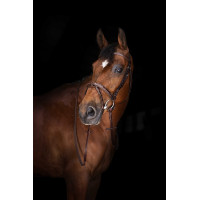 Teugels Hunter Eric Thomas Elite 16 mm Havana Bruin