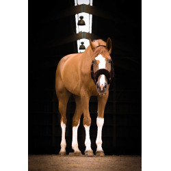 Halster Equithème Teddy Zwart / bruin