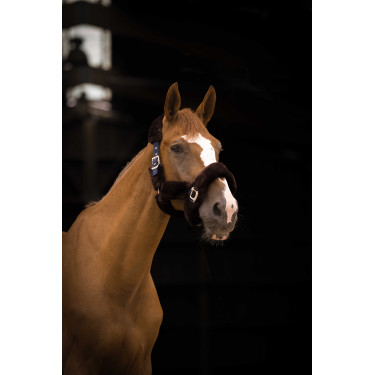 Halster Equithème Teddy Marine / bruin Blauw