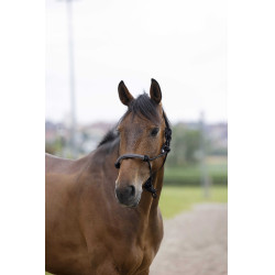 Norton ethologische hoofdstel touw/synthetisch Zwart