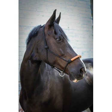 Ethologisch halster Pénélope Amerikaans Zwart Ethologisch halster Pénélope Amerikaans Zwart