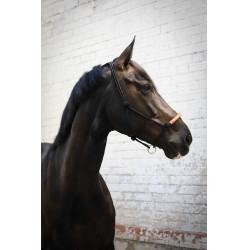 Ethologisch halster Pénélope Amerikaans Zwart Ethologisch halster Pénélope Amerikaans Zwart