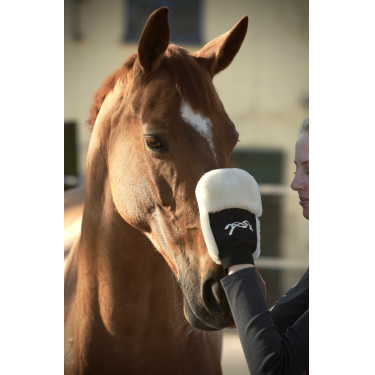 Poetsenhandschoen Pénélope Zwart