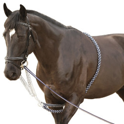 Soft Rope Canter Hulpteugel