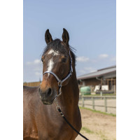 Halster Norton Nylon Soft Marineblauw