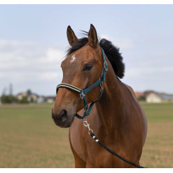 Halster Equithème Nylon Chevron Donkergroen Halster Equithème Nylon Chevron Donkergroen