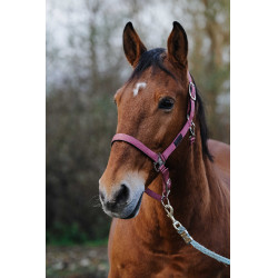 Nylon Halster Spring Equithème Roze Nylon Halster Spring Equithème Roze