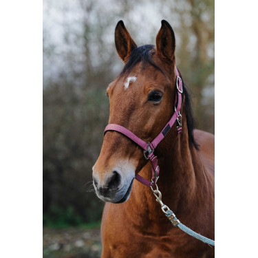 Nylon Halster Spring Equithème Roze Nylon Halster Spring Equithème Roze